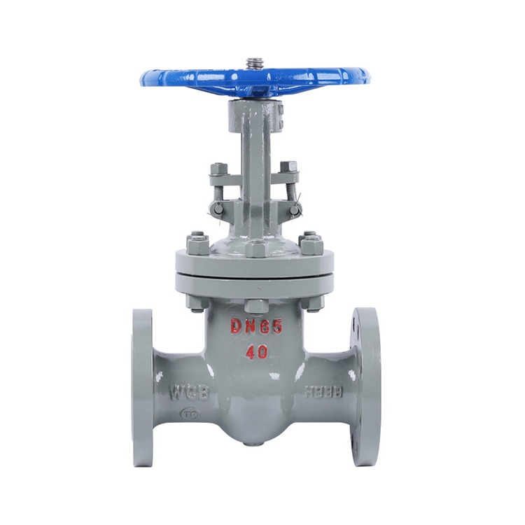 Cast Steel Gate Valve