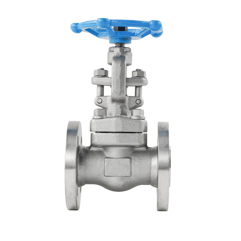 Stainless steel flange globe valve