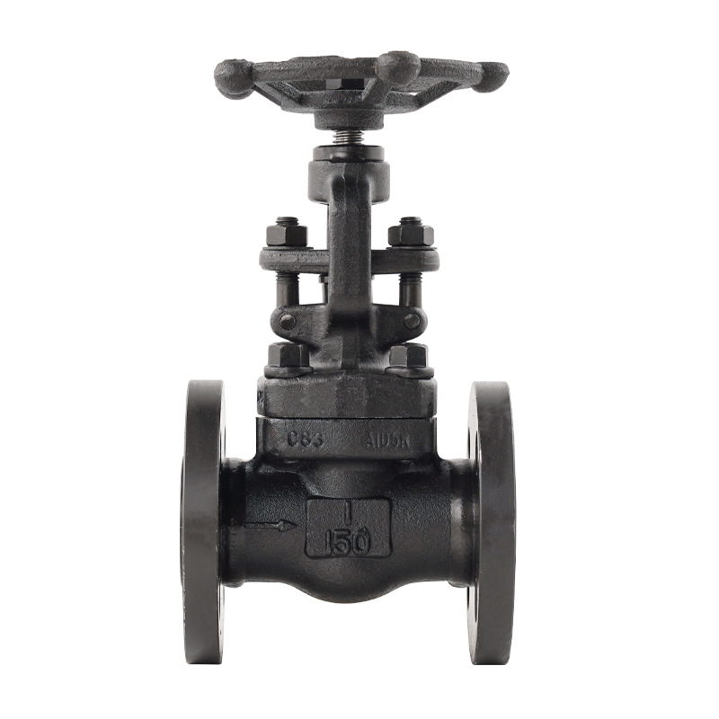 Forged steel flange globe valve