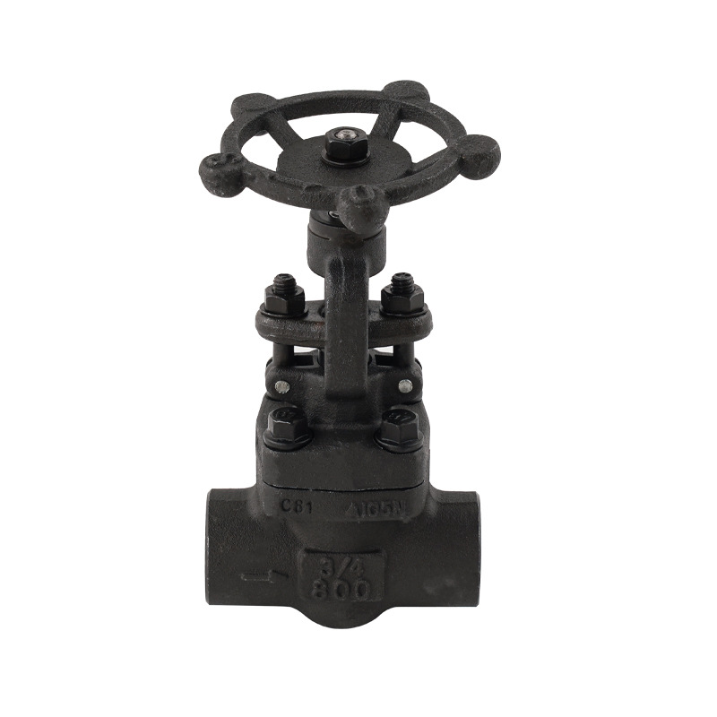 Forged steel welded globe valve